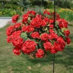 Artificial Geraniums for Outdoors