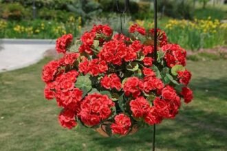 Artificial Geraniums for Outdoors