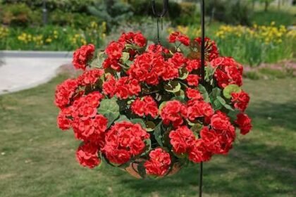 Artificial Geraniums for Outdoors